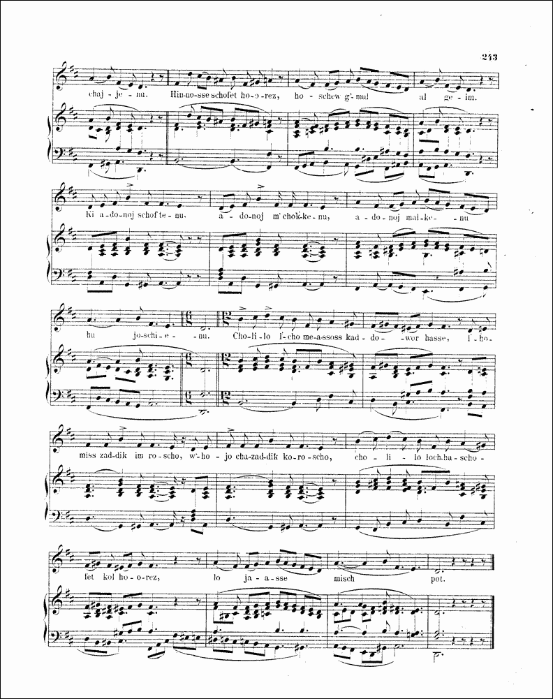 Image of Page 243